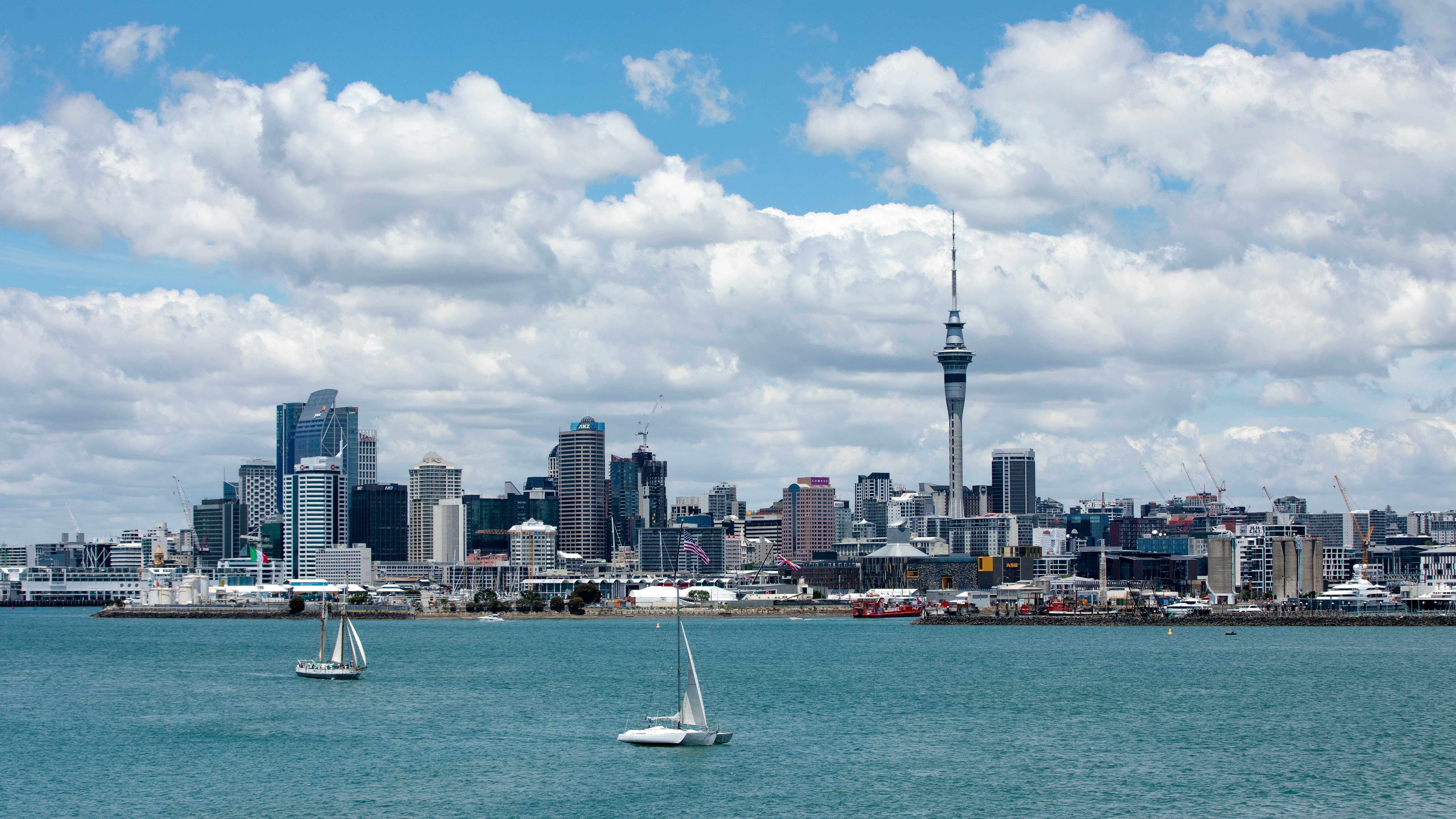 East Auckland suburban skyline and housing, viewed from elevated ground