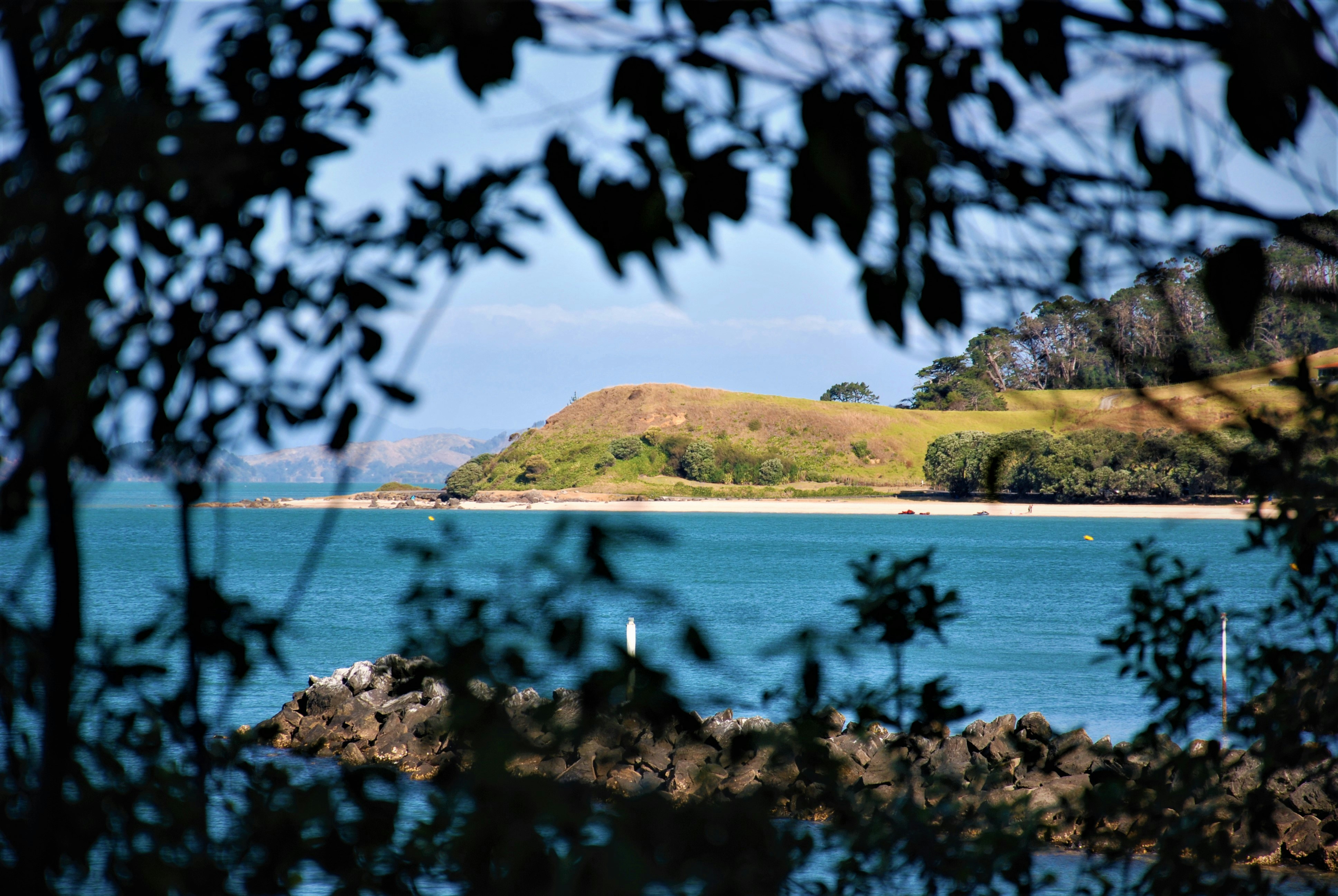 Homeowner meeting a real estate agent about selling a house in East Auckland
