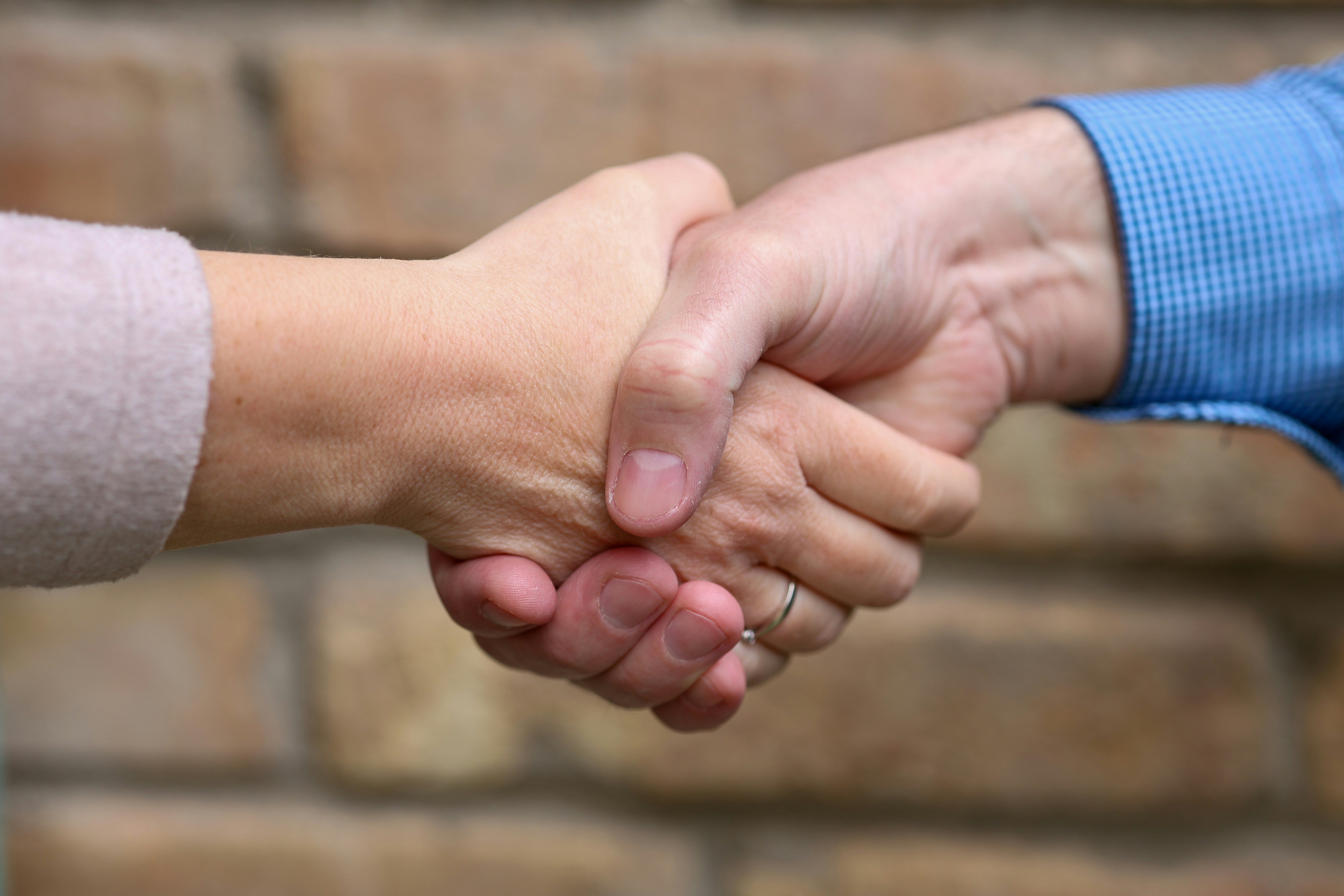 Buyer reviewing a sale and purchase agreement for an Auckland property